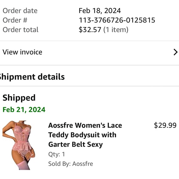 Women’s Babydoll Lace Sheer Garter Set - Picture 3 of 4